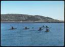 Image of Kayak Race at Cape Dorset (Kai-acks Returning to Cobb Harbor)